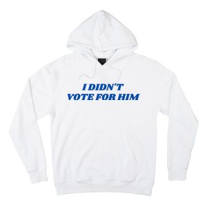 I DidnT Vote For Him Hoodie