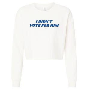 I DidnT Vote For Him Cropped Pullover Crew