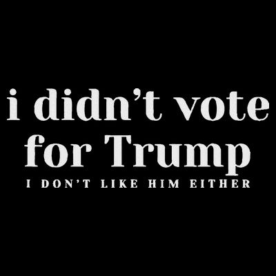 I Didn’T Vote Trump Anti Trump Travel Americans Abroad T-Shirt