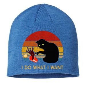 I Do What I Want Funny Black Cat Gifts Sustainable Beanie