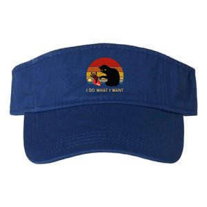 I Do What I Want Funny Black Cat Gifts Valucap Bio-Washed Visor