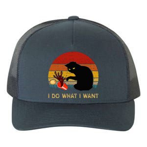 I Do What I Want Funny Black Cat Gifts Yupoong Adult 5-Panel Trucker Hat