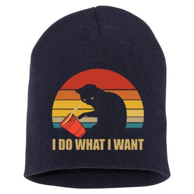 I Do What I Want Black Cat Animals Cute Cat Short Acrylic Beanie