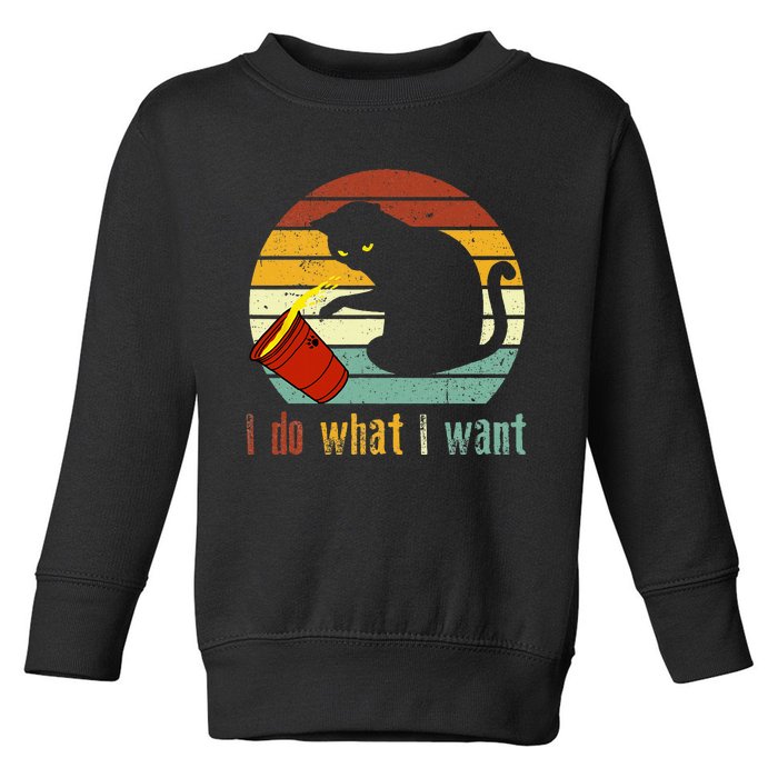 I Do What I Want Cat Coffee Black Cat Red Cup Funny Graphic Toddler Sweatshirt