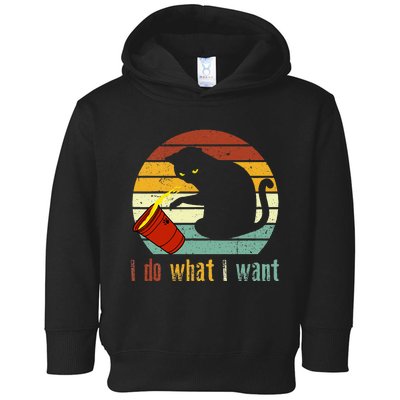 I Do What I Want Cat Coffee Black Cat Red Cup Funny Graphic Toddler Hoodie