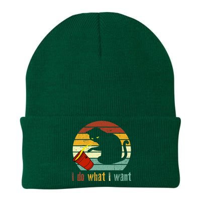 I Do What I Want Cat Coffee Black Cat Red Cup Funny Graphic Knit Cap Winter Beanie