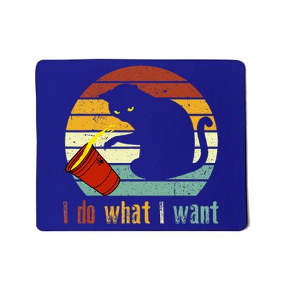 I Do What I Want Cat Coffee Black Cat Red Cup Funny Graphic Mousepad