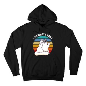 I Do What I Want Funny Cat Attitude Cat Lover Hoodie