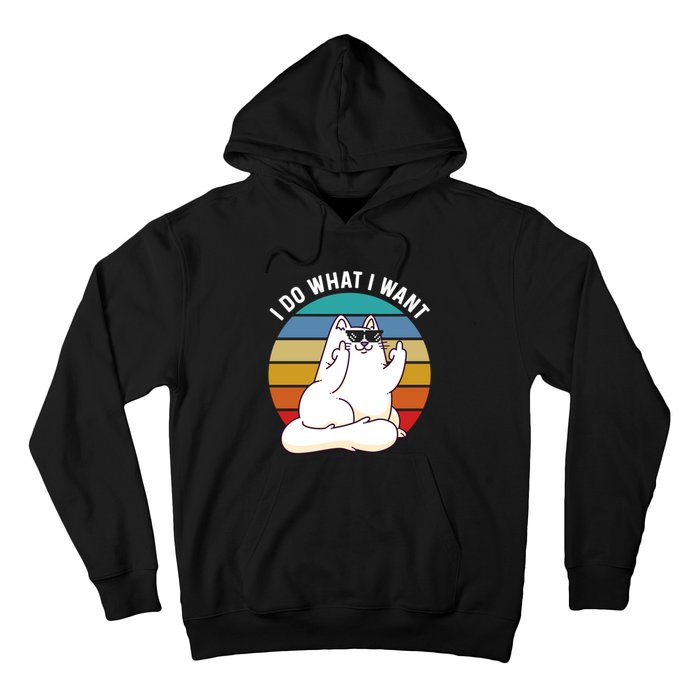 I Do What I Want Funny Cat Attitude Cat Lover Hoodie