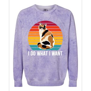 I Do What I Want Calico Cat Owner Calico Cat Lover Gift Colorblast Crewneck Sweatshirt