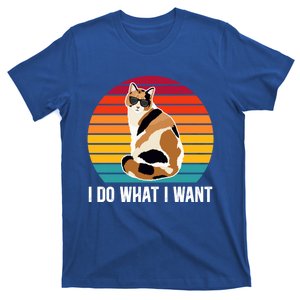 I Do What I Want Calico Cat Owner Calico Cat Lover Gift T-Shirt