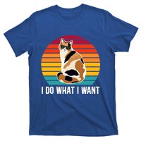 I Do What I Want Calico Cat Owner Calico Cat Lover Gift T-Shirt