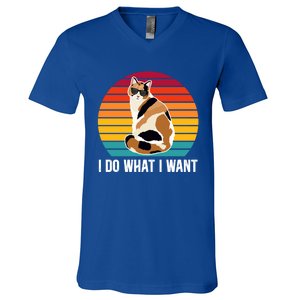 I Do What I Want Calico Cat Owner Calico Cat Lover Gift V-Neck T-Shirt