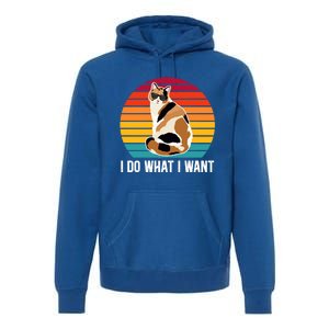 I Do What I Want Calico Cat Owner Calico Cat Lover Gift Premium Hoodie