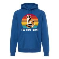 I Do What I Want Calico Cat Owner Calico Cat Lover Gift Premium Hoodie