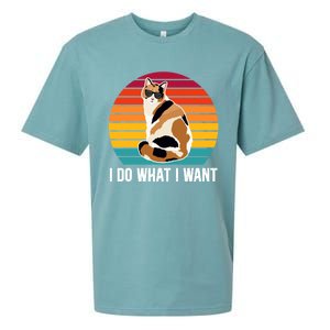 I Do What I Want Calico Cat Owner Calico Cat Lover Gift Sueded Cloud Jersey T-Shirt