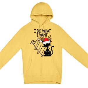 I Do What I Want Christmas Tree Cat Gift Premium Pullover Hoodie