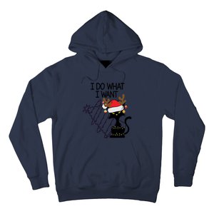 I Do What I Want Christmas Tree Cat Gift Hoodie