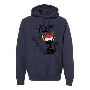 I Do What I Want Christmas Tree Cat Gift Premium Hoodie