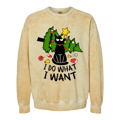 I Do What I Want Cat Christmas Tree Funny Black Cat Graphic Gift Colorblast Crewneck Sweatshirt