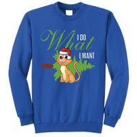 I Do What I Want Cat Wearing Santa Hat Sarcastic Christmas Meaningful Gift Sweatshirt