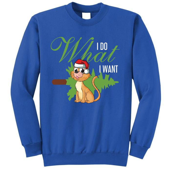 I Do What I Want Cat Wearing Santa Hat Sarcastic Christmas Meaningful Gift Sweatshirt