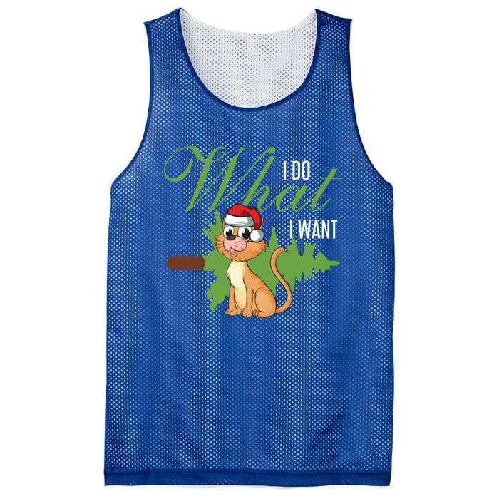 I Do What I Want Cat Wearing Santa Hat Sarcastic Christmas Meaningful Gift Mesh Reversible Basketball Jersey Tank