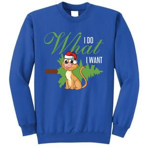 I Do What I Want Cat Wearing Santa Hat Sarcastic Christmas Meaningful Gift Tall Sweatshirt