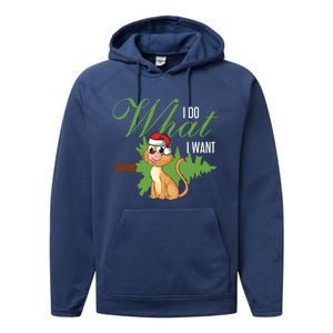 I Do What I Want Cat Wearing Santa Hat Sarcastic Christmas Meaningful Gift Performance Fleece Hoodie