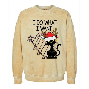 I Do What I Want Christmas Tree Cat Gift Colorblast Crewneck Sweatshirt