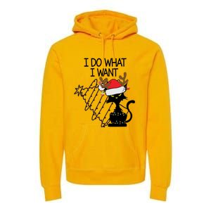 I Do What I Want Christmas Tree Cat Gift Premium Hoodie