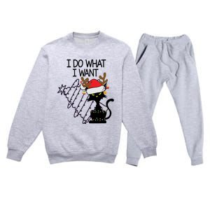 I Do What I Want Christmas Tree Cat Gift Premium Crewneck Sweatsuit Set