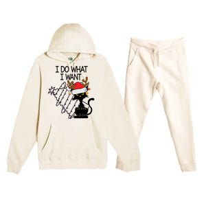 I Do What I Want Christmas Tree Cat Gift Premium Hooded Sweatsuit Set