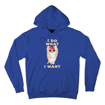 I Do What I Want Chihuahua Gift Hoodie