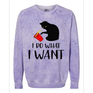 I Do What I Want Funny Black Cat Red Cup Funny My Cat Colorblast Crewneck Sweatshirt