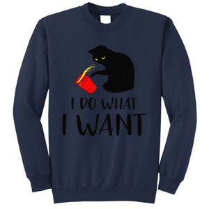 I Do What I Want Funny Black Cat Red Cup Funny My Cat Sweatshirt