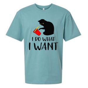 I Do What I Want Funny Black Cat Red Cup Funny My Cat Sueded Cloud Jersey T-Shirt