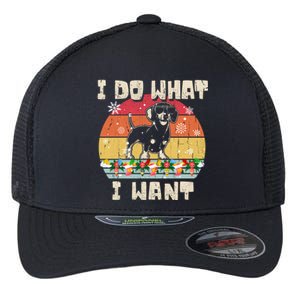 I Do What I Want Dachshund Retro Christmas Style Funny Gift Flexfit Unipanel Trucker Cap