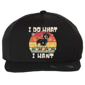 I Do What I Want Dachshund Retro Christmas Style Funny Gift Wool Snapback Cap