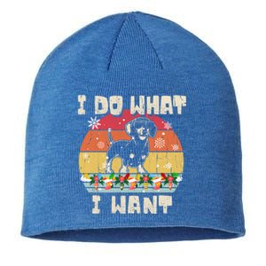 I Do What I Want Dachshund Retro Christmas Style Funny Gift Sustainable Beanie