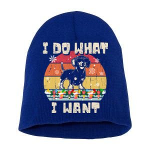 I Do What I Want Dachshund Retro Christmas Style Funny Gift Short Acrylic Beanie