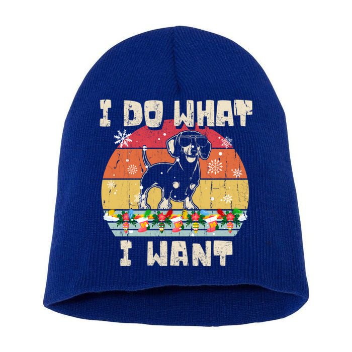 I Do What I Want Dachshund Retro Christmas Style Funny Gift Short Acrylic Beanie