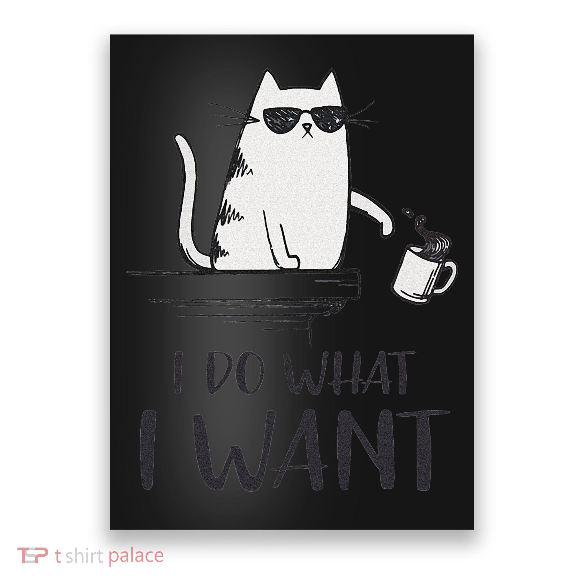 I Do What I Want Funny Cat Lovers Poster
