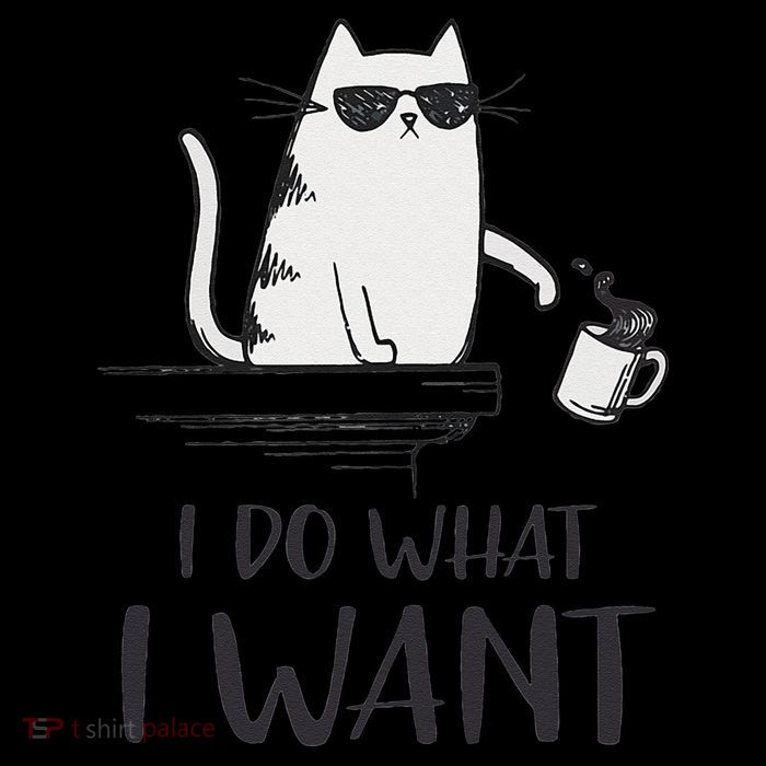 I Do What I Want Funny Cat Lovers Poster