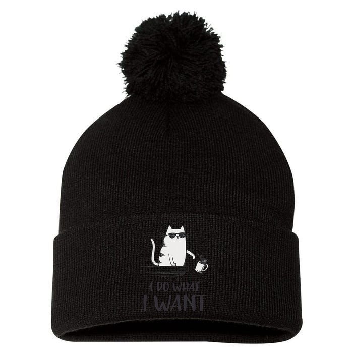 I Do What I Want Funny Cat Lovers Pom Pom 12in Knit Beanie
