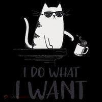 I Do What I Want Funny Cat Lovers Short Acrylic Beanie