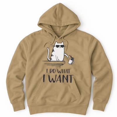 I Do What I Want Funny Cat Lovers Hoodie