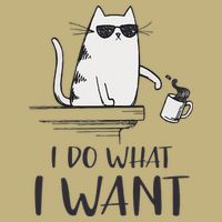 I Do What I Want Funny Cat Lovers Hoodie