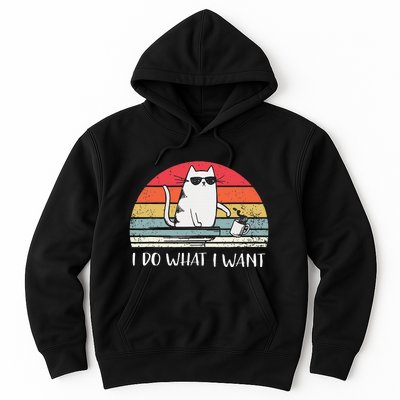 I Do What I Want Funny Black Cat Lovers Hoodie