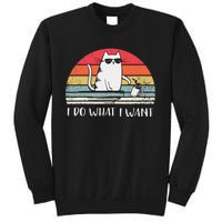 I Do What I Want Funny Black Cat Lovers Sweatshirt